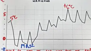 Prognoza temperatury dla Warszawy