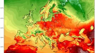Prognoza temperatury na poniedziałek 20 maja według modelu GFS/University of Maine