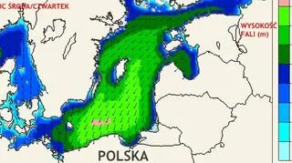 Prognoza wysokości fali na Morzu Bałtyckim, noc środa/czwartek (ICM)