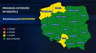 Prognoza zagrożeń na niedzielę (IMGW)