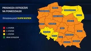 Prognoza zagrożeń na poniedziałek