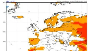 Prognozowana anomalia temperatury w grudniu 2019 (NOAA)