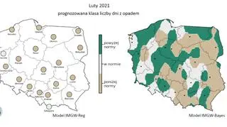 Prognozowana klasa liczby dni z opadem w lutym 2021 r
