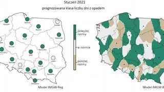 Prognozowana klasa liczby dni z opadem w styczniu 2021 r. według modelu IMGW-Reg i IMGW-Bayes (IMGW-PiB)