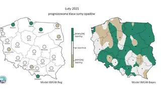 Prognozowana klasa miesięcznej sumy opadów w lutym 2021 r. według modelu IMGW-Reg i IMGW-Bayes