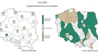 Prognozowana klasa miesięcznej sumy opadów w lutym 2021 r
