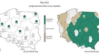 Prognozowana klasa miesięcznej sumy opadów w maju 2021 r