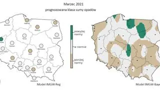 Prognozowana klasa miesięcznej sumy opadów w marcu 2021 r