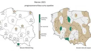 Prognozowana klasa miesięcznej sumy opadów w marcu 2021 r