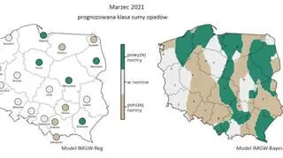 Prognozowana klasa miesięcznej sumy opadów w marcu 2021 r