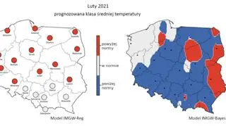 Prognozowana klasa średniej miesięcznej temperatury powietrza w lutym 2021 r