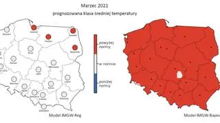 Prognozowana klasa średniej miesięcznej temperatury powietrza w marcu 2021 r