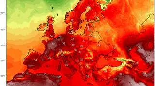 Prognozowana maksymalna temperatura na czwartek (climatereanalyzer.org)
