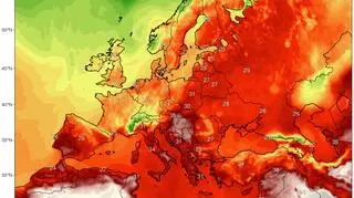 Prognozowana temperatura w czwartek (climatereanalyzer.org)