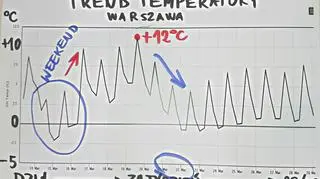 Prognozowana temperatura w najbliższych dniach