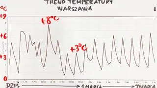 Prognozowana temperatura w Warszawie