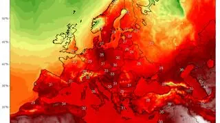 Prognozowana temperatura według modelu GFS na środę 8 sierpnia (ClimateReanalyzer/University of Maine)