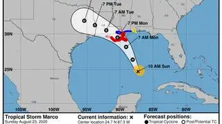 Prognozowana trasa burzy tropikalnej Marco (NHC NOAA)