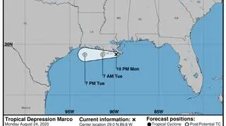 Prognozowana trasa przejścia depresji tropikalnej Marco (NOAA)