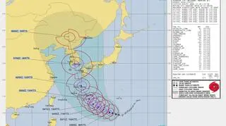 Prognozowana trasa tajfunu Haishen (JWTC)