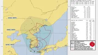 Prognozowana trasa tajfunu Maysak (JWTC)