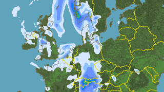 Prognozowane opady nad Polską w sobotę, godz. 14.00 / niederschlagsradar.de