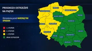 Prognozowane ostrzeżenia na piątek (IMGW)