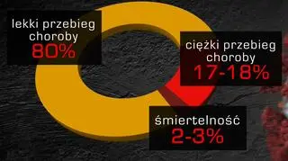 Przebieg choroby COVID-19, wywoływanej przez koronawirusa SARS-CoV-2 (TVN24)