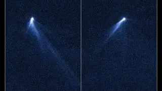 Przez 13 dni asteroida P/2013 P5 mocno się zmieniła