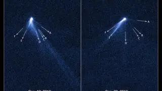 Przez 13 dni asteroida P/2013 P5 mocno się zmieniła