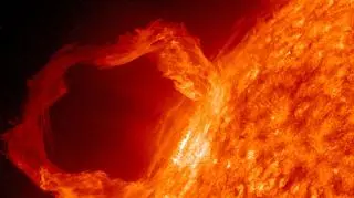 Przykładowa protuberancja słoneczna widziana w ultrafiolecie (NASA/SDO AIA Team)