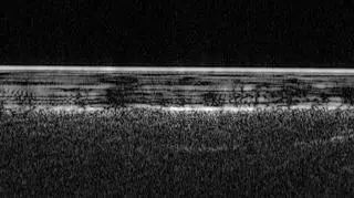 Radar wykrywające podpowierzchniową wodę (ESA/NASA/JPL/ASI/Univ