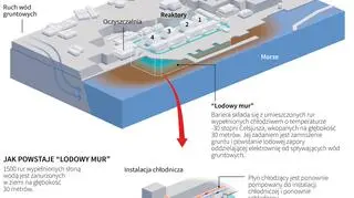 Radioaktywna woda z elektrowni w Fukushimie (Adam Ziemienowicz/PAP/Reuters)