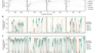 Reakcje mikroorganizmów na dodawanie substratów węglowych i azotowych (Yuki Morono, Motoo Ito, Tatsuhiko Hoshino, Takeshi Terada, Tomoyuki Hori, Minoru Ikehara, Steven D’Hondt, Fumio Inagaki)	