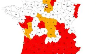 Regiony Francji, w których odnotowano największą liczbę komarów tygrysich (EID Méditerranée)