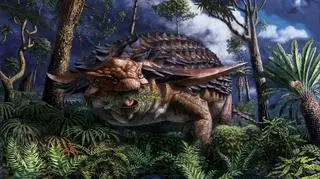 Rekonstrukcja Borealopelta markmitchelli z okresu kredy (Royal Tyrrell Museum of Palaeontology