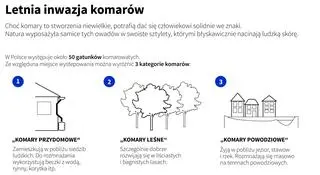 Rodzaje komarów w Polsce (Adam Ziemienowicz, Maria Samczuk/PAP)