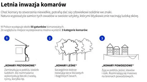 Rodzaje komarów w Polsce (Adam Ziemienowicz, Maria Samczuk/PAP)