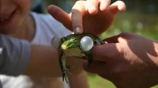 Rodziny z dziećmi mają co robić