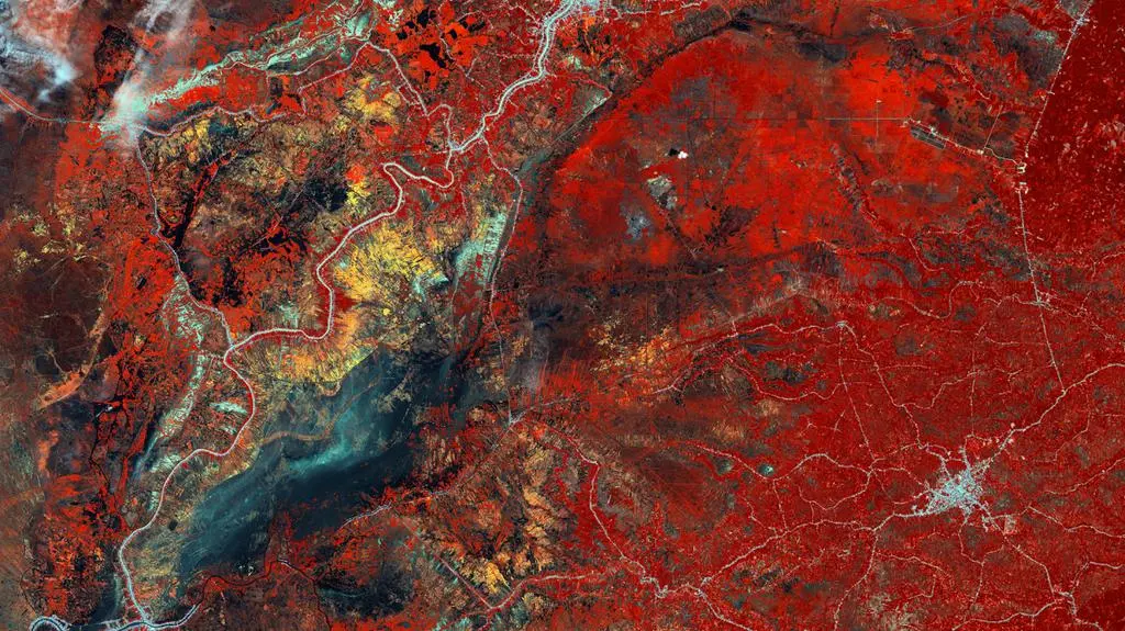 Roślinność na Borneo