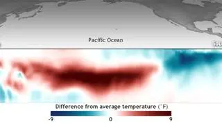 Różnica między średnią temperaturą Pacyfiku w lutym a w ciągu wielolecia 1981-2010