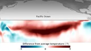Różnica między średnią temperaturą Pacyfiku w marcu a w ciągu wielolecia 1981-2010