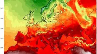 Różnice temperatury w Europie (climatereanalyzer