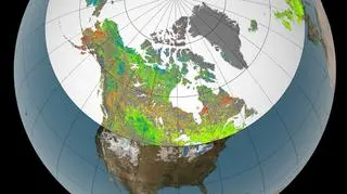 Rozwój roślinności na półkuli północnej w ciągu ostatnich 30 lat (NASA's Goddard Space Flight Center Scientific Visualization Studio)