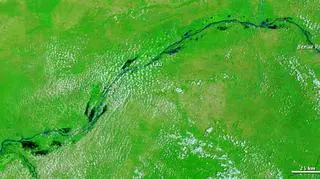 Rzeka Benue przepływająca przez Nigerię. Zdjęcie wykonane 23 sierpnia 2009 (NASA) 