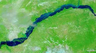 Rzeka Benue przepływająca przez Nigerię. Zdjęcie wykonane 8 września (NASA) 