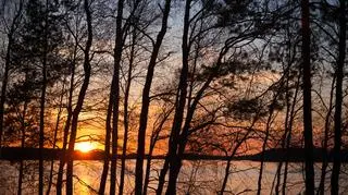 Saimaa (Finlandia)