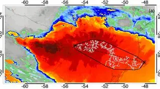Satelitarny widok 700-kilometrowego pioruna (WMO)