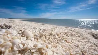 Shell Beach Australia
