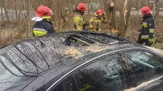 Silny wiatr łamie drzewa na Pomorzu (e-kg.pl)